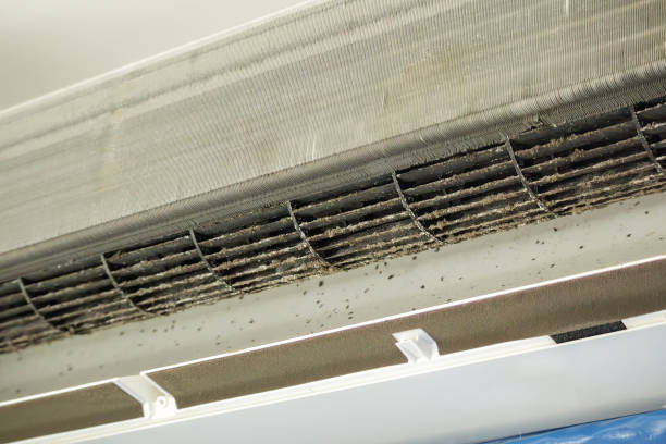 Best Emergency Air Duct Cleaning  in Newpt, OR